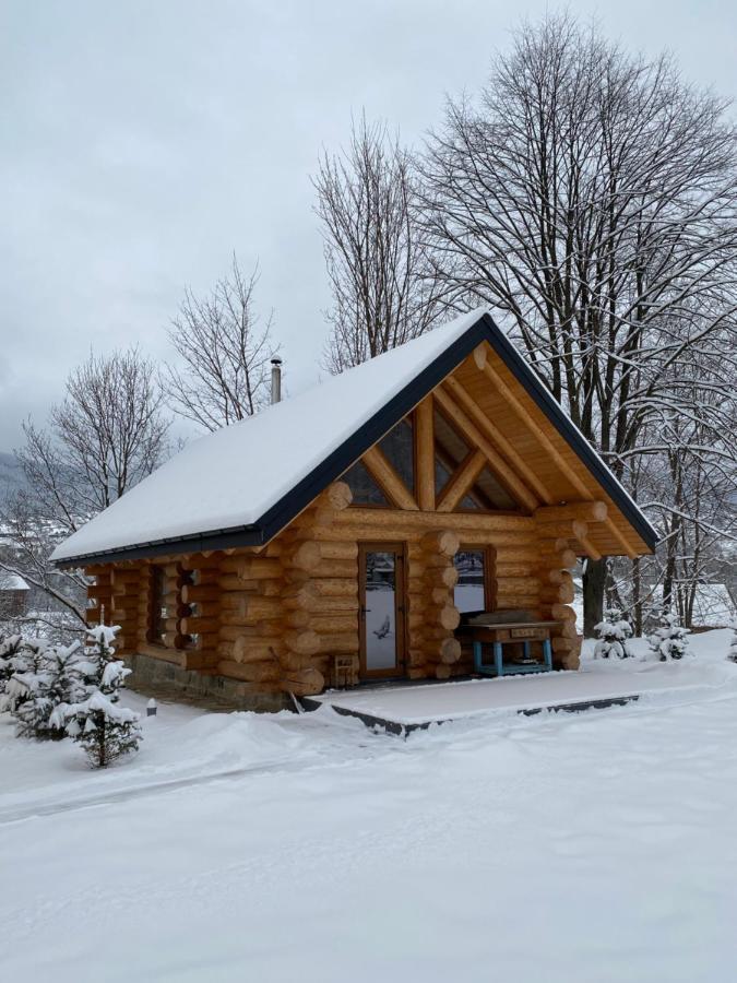 Villa Chalet Pidstromom à Mykulychyn Extérieur photo