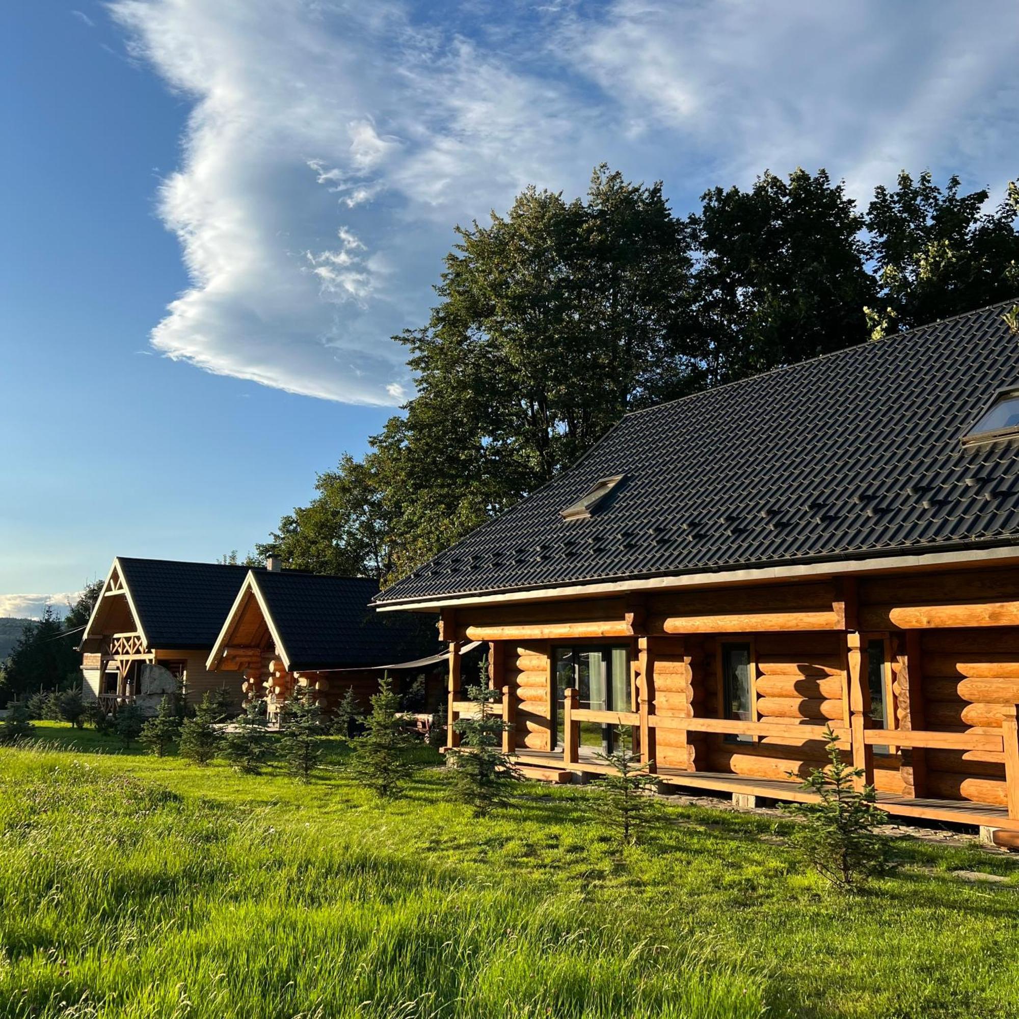 Villa Chalet Pidstromom à Mykulychyn Extérieur photo